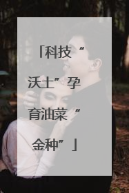 科技“沃土”孕育油菜“金种”