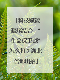科技赋能 疏堵结合 “生命保卫战”怎么打？湖北各地出招