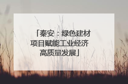 秦安：绿色建材项目赋能工业经济高质量发展