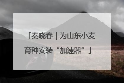 秦晓春｜为山东小麦育种安装“加速器”