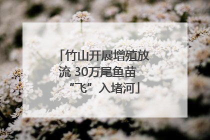 竹山开展增殖放流 30万尾鱼苗“飞”入堵河