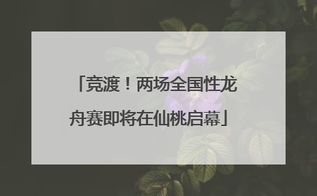 竞渡！两场全国性龙舟赛即将在仙桃启幕