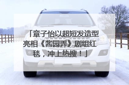 章子怡以超短发造型亮相《酱园弄》剧组红毯，冲上热搜！