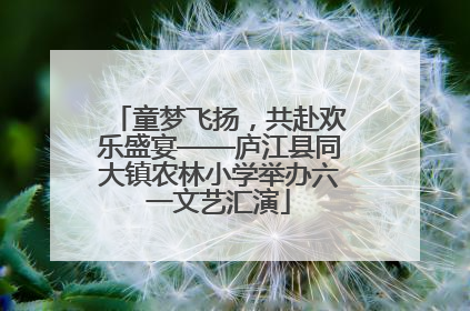 童梦飞扬，共赴欢乐盛宴——庐江县同大镇农林小学举办六一文艺汇演