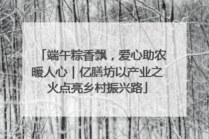 端午粽香飘，爱心助农暖人心｜亿膳坊以产业之火点亮乡村振兴路