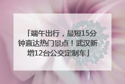 端午出行，最短15分钟直达热门景点！武汉新增12台公交定制车