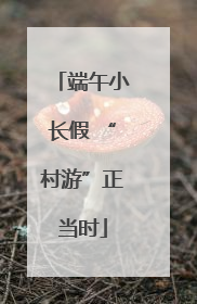 端午小长假 “村游”正当时