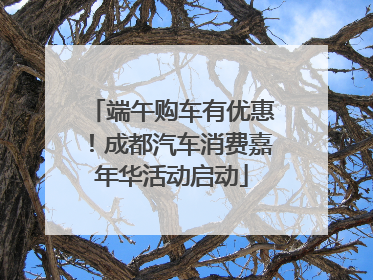 端午购车有优惠！成都汽车消费嘉年华活动启动