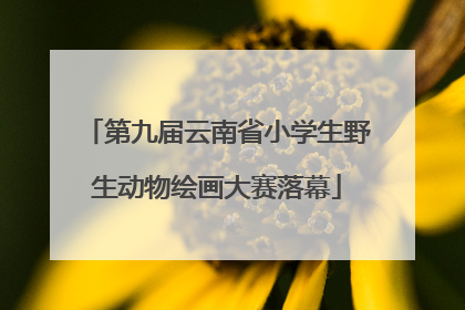 第九届云南省小学生野生动物绘画大赛落幕