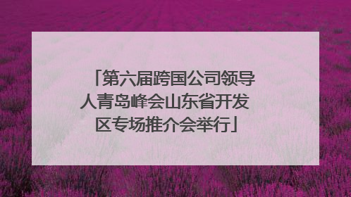 第六届跨国公司领导人青岛峰会山东省开发区专场推介会举行