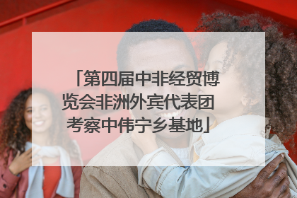 第四届中非经贸博览会非洲外宾代表团考察中伟宁乡基地