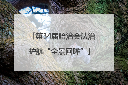 第34届哈洽会法治护航“全景回眸”