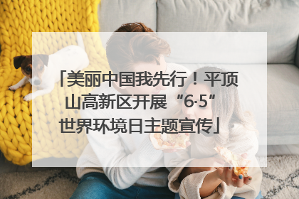 美丽中国我先行！平顶山高新区开展“6·5”世界环境日主题宣传
