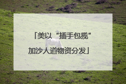 美以“插手包揽”加沙人道物资分发