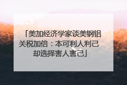 美加经济学家谈美钢铝关税加倍：本可利人利己 却选择害人害己