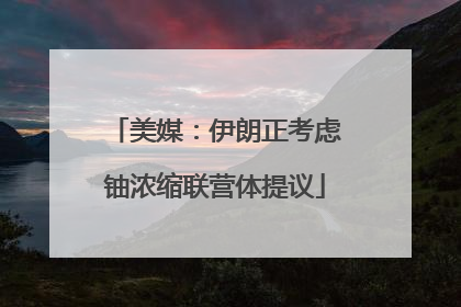 美媒：伊朗正考虑铀浓缩联营体提议