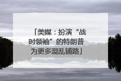 美媒：扮演“战时领袖”的特朗普为更多混乱铺路