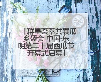群星荟萃共襄瓜乡盛会 中国·东明第二十届西瓜节开幕式启幕