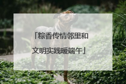 粽香传情邻里和 文明实践暖端午