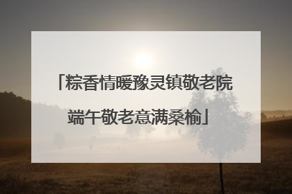 粽香情暖豫灵镇敬老院 端午敬老意满桑榆