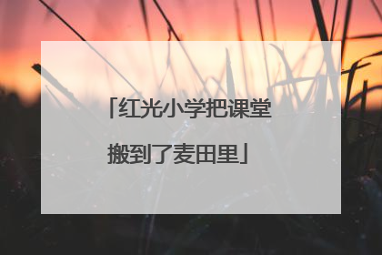 红光小学把课堂搬到了麦田里