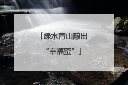 绿水青山酿出“幸福蜜”