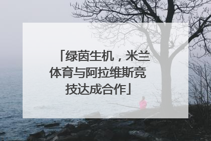 绿茵生机，米兰体育与阿拉维斯竞技达成合作