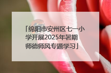 绵阳市安州区七一小学开展2025年暑期师德师风专题学习