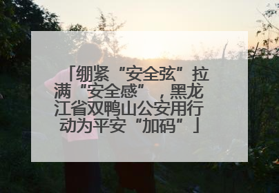 绷紧“安全弦”拉满“安全感”，黑龙江省双鸭山公安用行动为平安“加码”