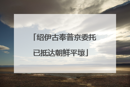 绍伊古奉普京委托已抵达朝鲜平壤