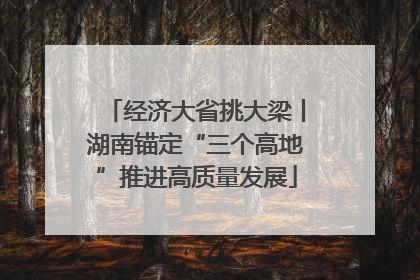 经济大省挑大梁丨湖南锚定“三个高地”推进高质量发展