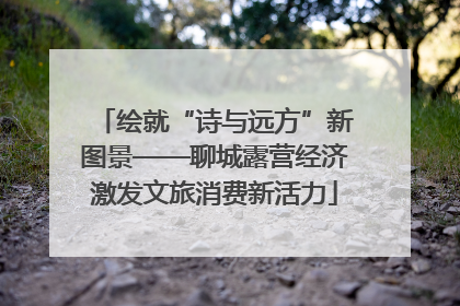 绘就“诗与远方”新图景——聊城露营经济激发文旅消费新活力