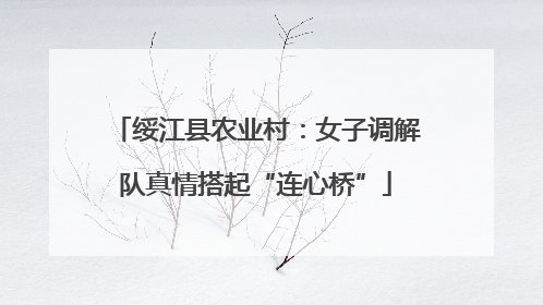 绥江县农业村：女子调解队真情搭起“连心桥”