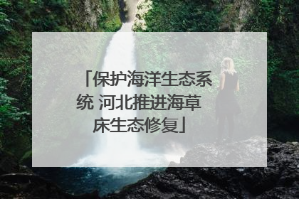 保护海洋生态系统 河北推进海草床生态修复