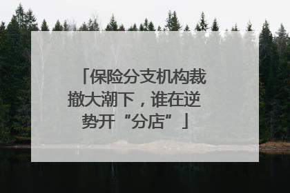 保险分支机构裁撤大潮下，谁在逆势开“分店”