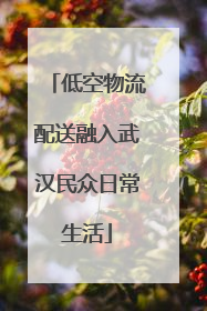 低空物流配送融入武汉民众日常生活