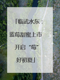 临武水东：蓝莓甜蜜上市 开启“莓”好初夏