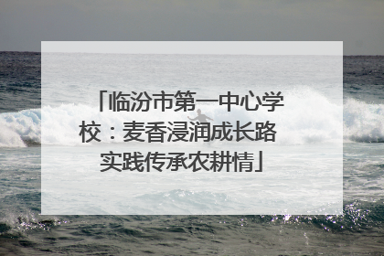 临汾市第一中心学校：麦香浸润成长路 实践传承农耕情
