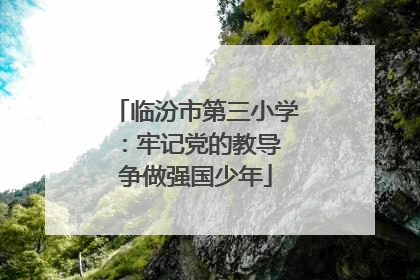 临汾市第三小学：牢记党的教导 争做强国少年