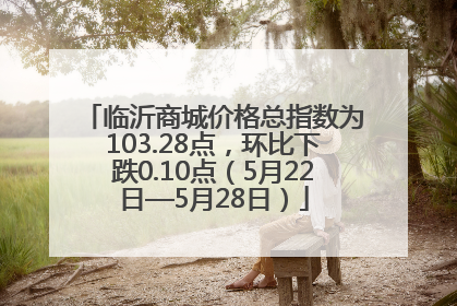 临沂商城价格总指数为103.28点，环比下跌0.10点（5月22日—5月28日）