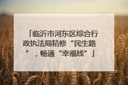 临沂市河东区综合行政执法局精修“民生路”，畅通“幸福线”