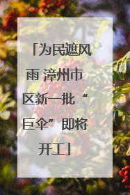 为民遮风雨 漳州市区新一批“巨伞”即将开工