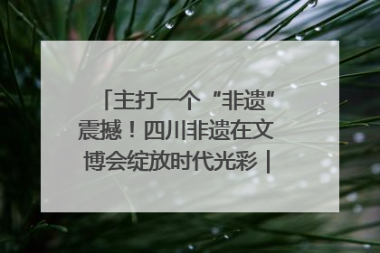 主打一个“非遗”震撼！四川非遗在文博会绽放时代光彩｜文博向“新”