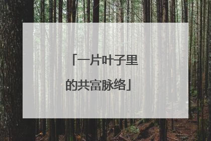 一片叶子里的共富脉络