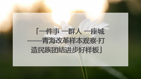 一件事 一群人 一座城——青海改革样本观察·打造民族团结进步好样板