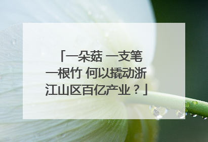 一朵菇 一支笔 一根竹 何以撬动浙江山区百亿产业？