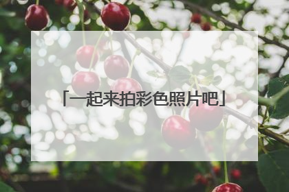 一起来拍彩色照片吧
