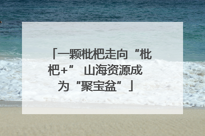 一颗枇杷走向“枇杷+” 山海资源成为“聚宝盆”