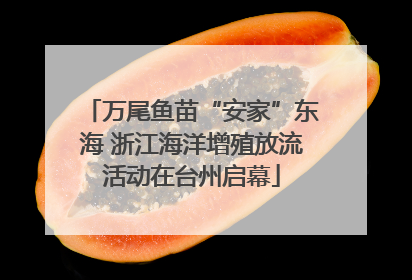 万尾鱼苗“安家”东海 浙江海洋增殖放流活动在台州启幕