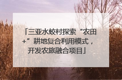 三亚水蛟村探索“农田+”耕地复合利用模式，开发农旅融合项目